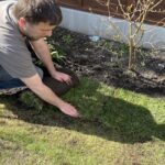 How to extend your lawn step by step. Instructions