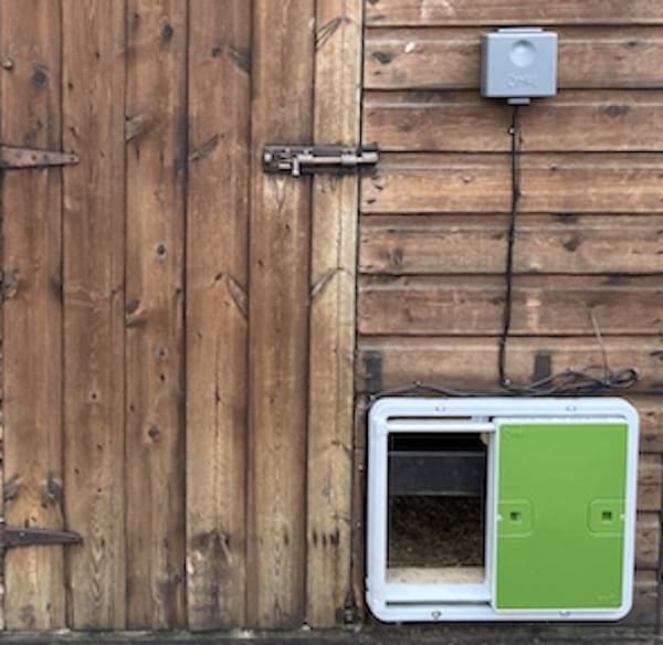 Omlet automatic chicken coop door - best pick