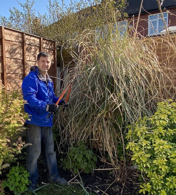 How and When To Prune Pampas Grass Complete Guide & Video
