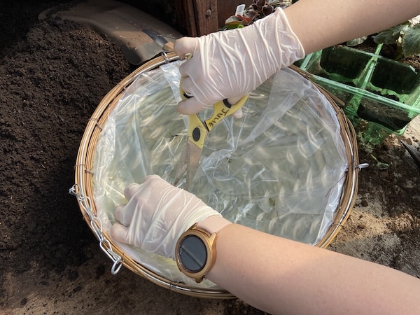 Planting a summer basket - make holes in plastic liner