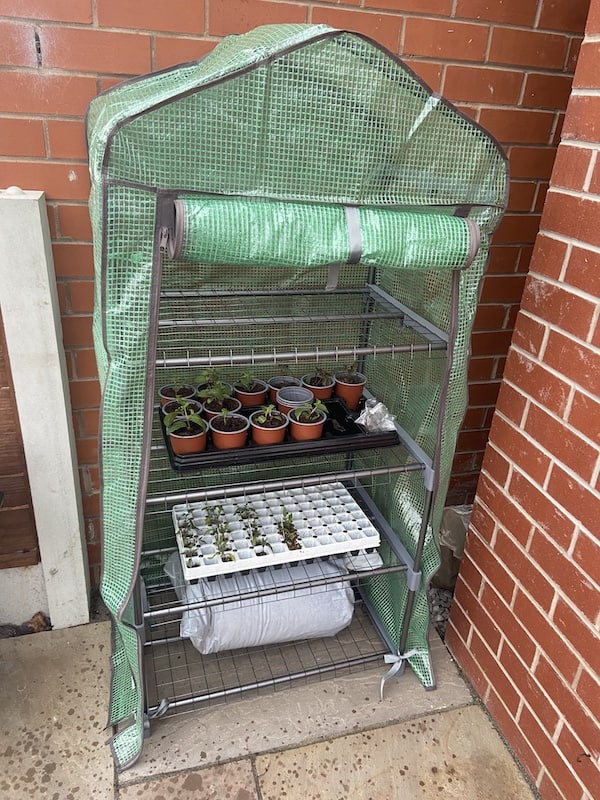 Mini grow house fully put together with plants in