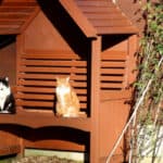 Best arbour seats and reviews