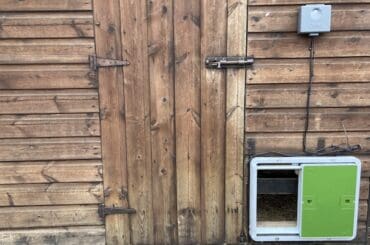 Omlet Automatic Chicken Coop Door Opener Review