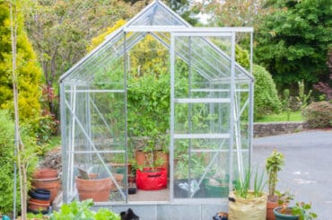 Choosing the best Aluminium greenhouse and what to look for