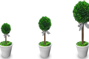 Best artificial boxwood topiary