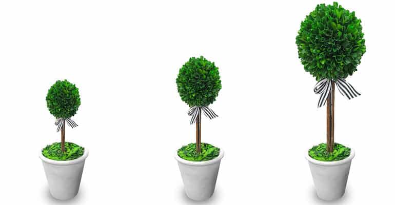 Best artificial boxwood topiary