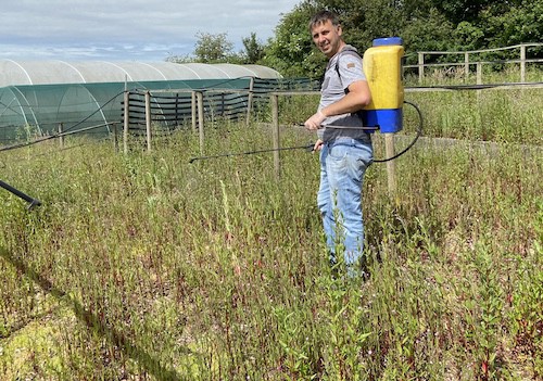 Cooper Pegler Classic CP15 15L Knapsack Sprayer I use for spraying weeds