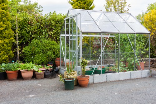 What to look for when choosing an aluminium greenhouse