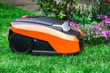 Best Lawn Mower For Small Gardens