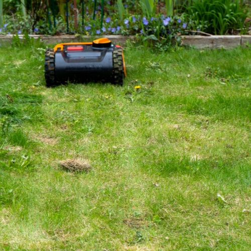 robotic lawn mower doing its first cut