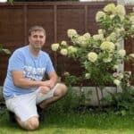 How Tall and Wide do Hydrangeas Grow