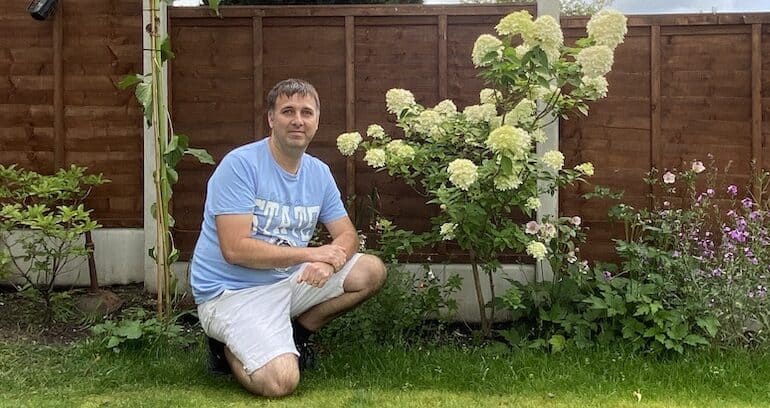 How Tall and Wide do Hydrangeas Grow