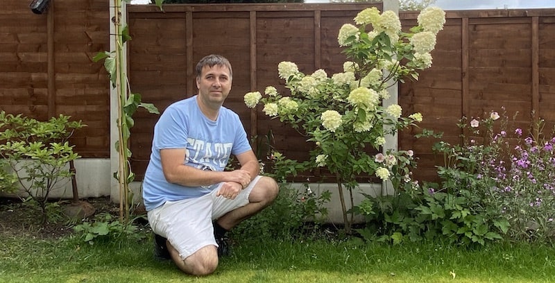 How Tall and Wide do Hydrangeas Grow