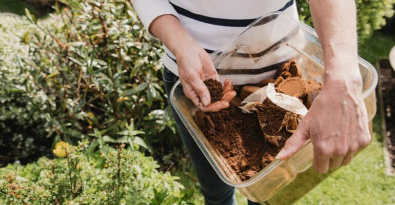 Should you use Coffee Grounds for Hydrangeas and why you might do this in the first place