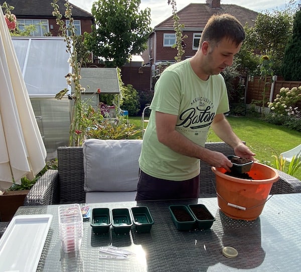 filling trays with seed compost for sowing winter pansies