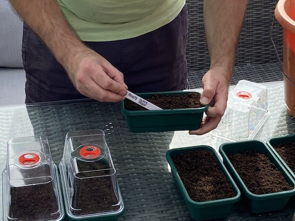 labelling seed trays so i know which trays have which seeds in them