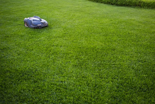 Setting how you want a robot lawn mower to mow