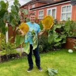 I show you when and how I harvest sunflower seeds which you can use for feeding the birds, planting in spring and even roasting to eat.