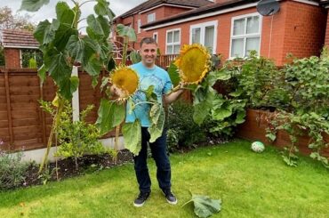 I show you when and how I harvest sunflower seeds which you can use for feeding the birds, planting in spring and even roasting to eat.