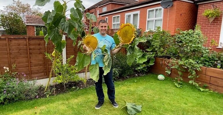 I show you when and how I harvest sunflower seeds which you can use for feeding the birds, planting in spring and even roasting to eat.