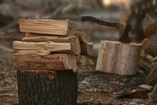 Firewood being cut into sizes ideal for stove and to help it season faster