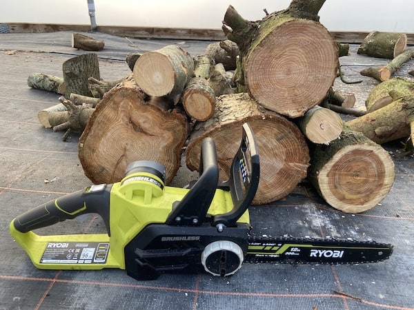 Ryobi chainsaw with a selection of different sized logs it was able to cut with ease
