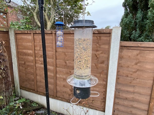 Bird feeder designed to squirrels, pigeons and other large birds eating bird seed
