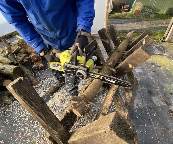 testing Ryobi electric chainsaw to see how it performs