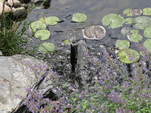 All in one pond pump and filter ideal for keeping smaller ponds clear