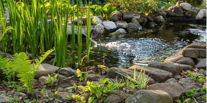 Trout Pond Open Christmas Day 2022 5 Best Pond Aerators Uk Spec - Oxygenate The Water Easily