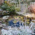 Best pond heaters and deicers to stop your pond freezing over