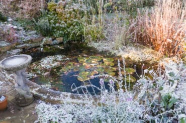 Best pond heaters and deicers to stop your pond freezing over