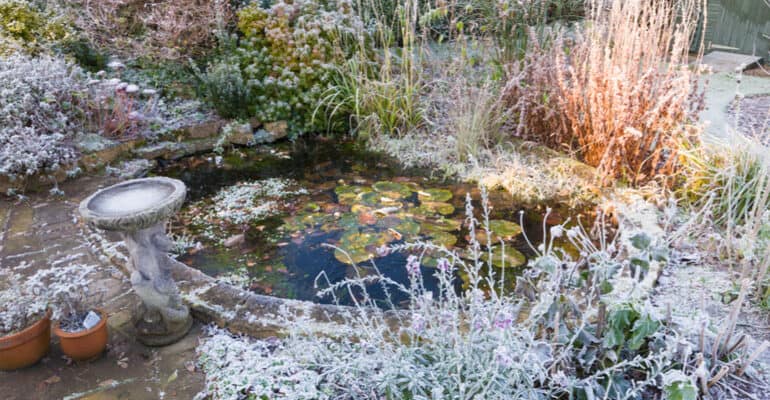 Best pond heaters and deicers to stop your pond freezing over