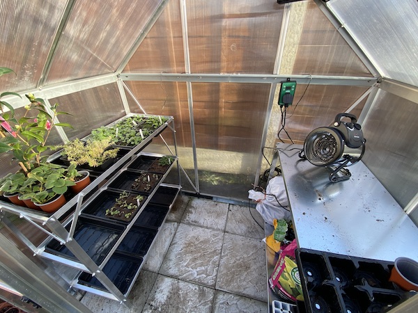Inside the Palram mythos 6ft x 4ft greenhouse