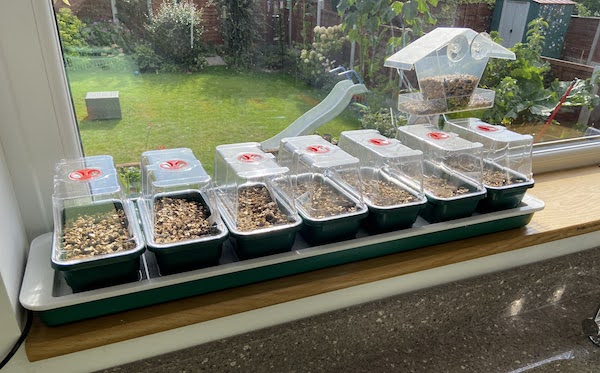 My Garland Super7 Heated Propagator Review