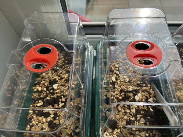Close up of the air vents on the Garland Super7 to improve air circulation to prevent damping off and control the inside temperature more