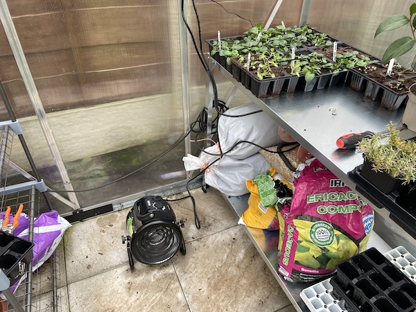 My Palma greenhouse heater which also has a Thermo2 digital thermostat that maintains a consistent temperature in my greenhouse