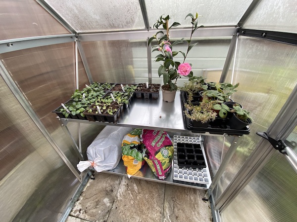 Palram Greenhouse Steel Work Bench being tested with heavy bags of compost and plants
