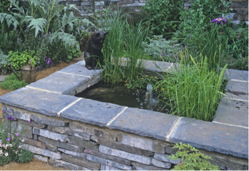 Pond pump and filter in raised pond