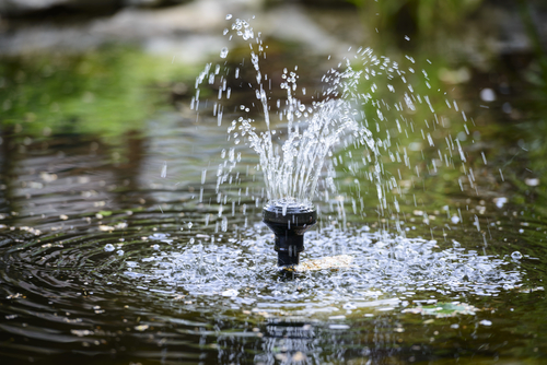 Small pond fountain attached to a filter with uV light under the water