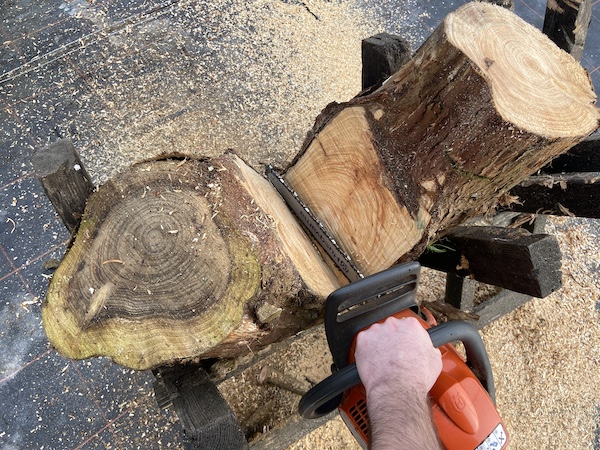 cutting through hardwood very large log with my The HUSQVARNA 135 X-TORQ Petrol Chainsaw during testing