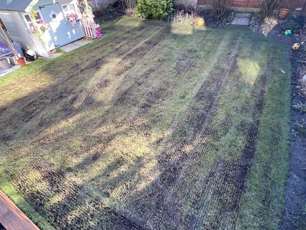 Lawn after scarifying with the Hyundai 52cc petrol scarifier