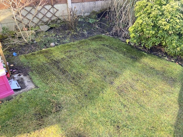 After scarifying on the highest setting