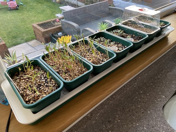 Small heated propagator, easy to use and very energy efficient