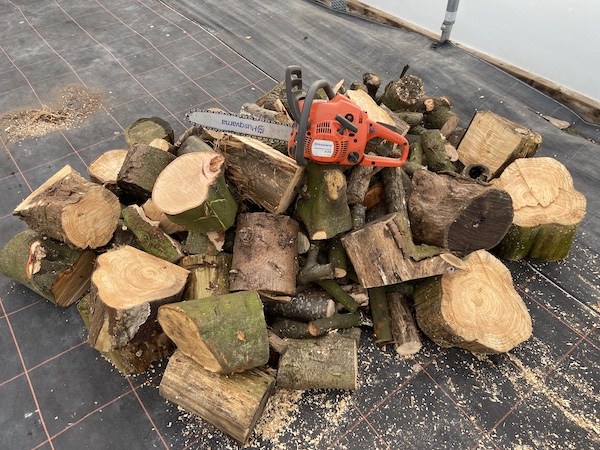 The HUSQVARNA 135 X-TORQ Petrol Chainsaw with some of the logs I was able to cut in 30 minutes
