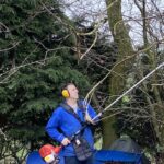 Best pole chainsaws for cutting thick branches up high and comparing the best models including BUKO and Stihl