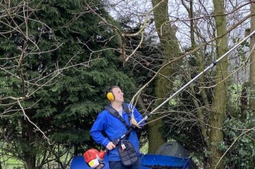 Best pole chainsaws for cutting thick branches up high and comparing the best models including BUKO and Stihl