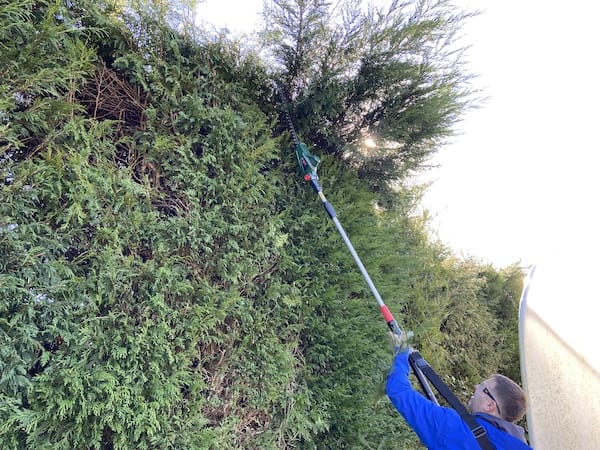 Using at full extension, just tall enough to reach the top of our very tall hedges