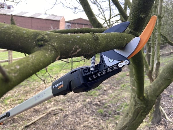 LOPPER HEAD on long reach hedge trimmer