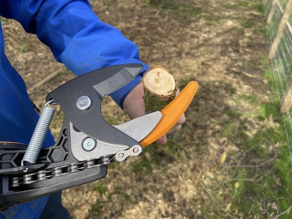 Fiskars PowerGear X UPX86 Telescopic Tree Pruner can cut branches up to a diameter of 3.2cm